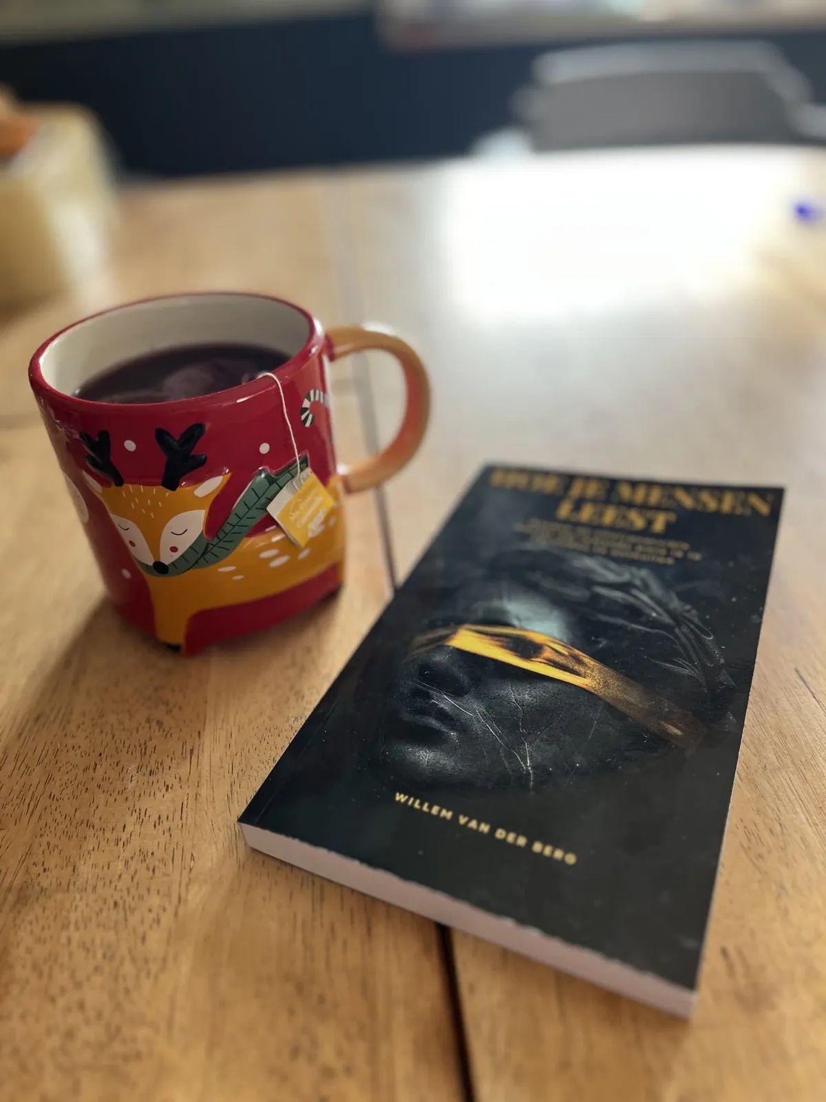 Lezer met het boek